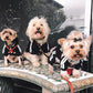 Hoodie Adidog tracksuit