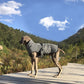Winter Reflective Large dog
