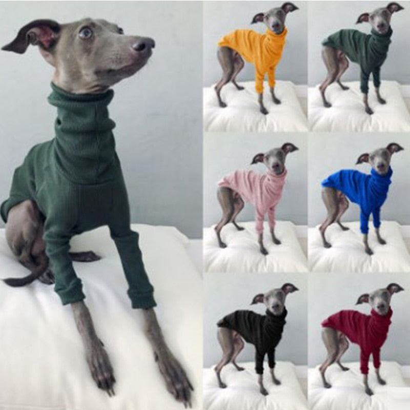Pullover sweater small to large dogs