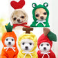 Hoodies cute costumes for small dogs