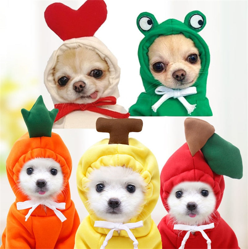 Hoodies cute costumes for small dogs