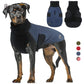 Benepaw Reversible Waterproof Dog Coat with Reflective Trim