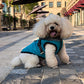 Winter Pet Dog Coat Dog Jacket with Harness Warm Soft Windproof with Hooded S-XXL with Zipper for Small Medium Dogs