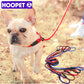 Leash Nylon Slip Chain