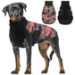 Benepaw Reversible Waterproof Dog Coat with Reflective Trim