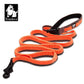 Leash Bungee waist Belt TRUELOVE