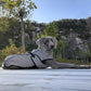 Winter Reflective Large dog