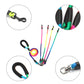 Leash 1-4 dog Rainbow Splitter