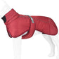 Winter Benepaw Coat