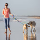 Leash 1-4 dog Rainbow Splitter