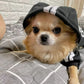 Hoodie Adidog tracksuit
