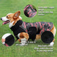 Benepaw Reversible Waterproof Dog Coat with Reflective Trim