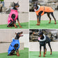 Winter Warm Jacket Large dog