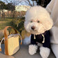 Hoodies Classic Small and Medium Dog